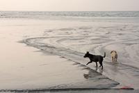 Cjp_2010_04_14_173217 (1).jpg